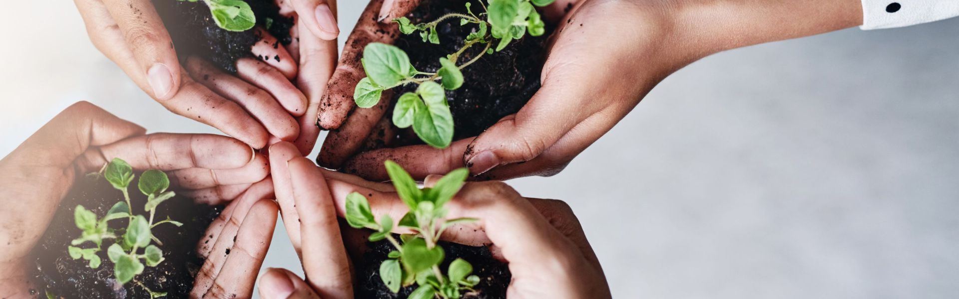Hoe duurzaam ben jij écht? Ontdek jouw groene score!